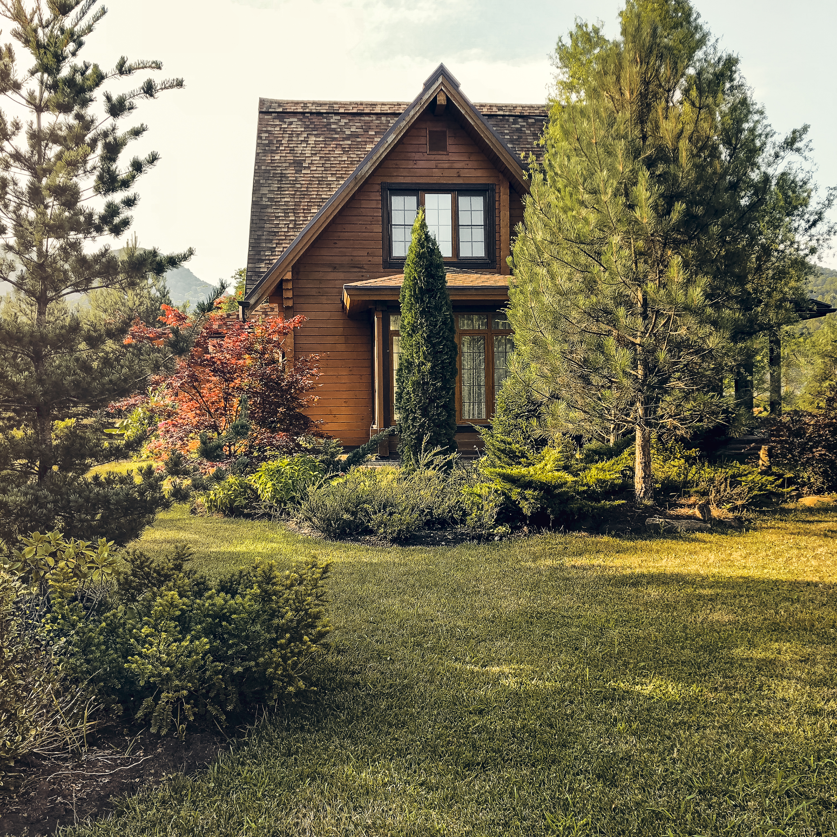 Forest-edge backyard with stone terrace and native planting