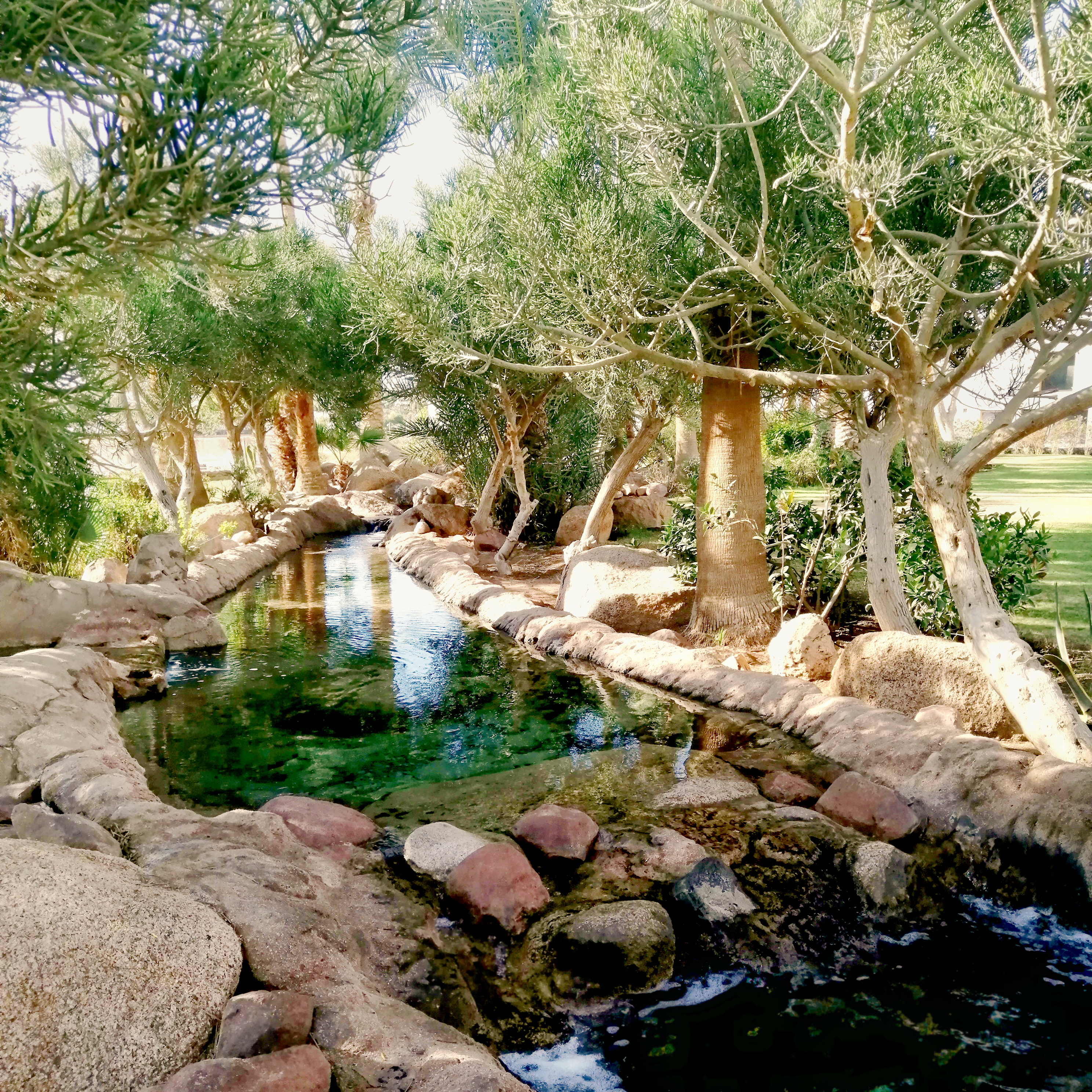 Front yard pollinator garden with stone path and grasses